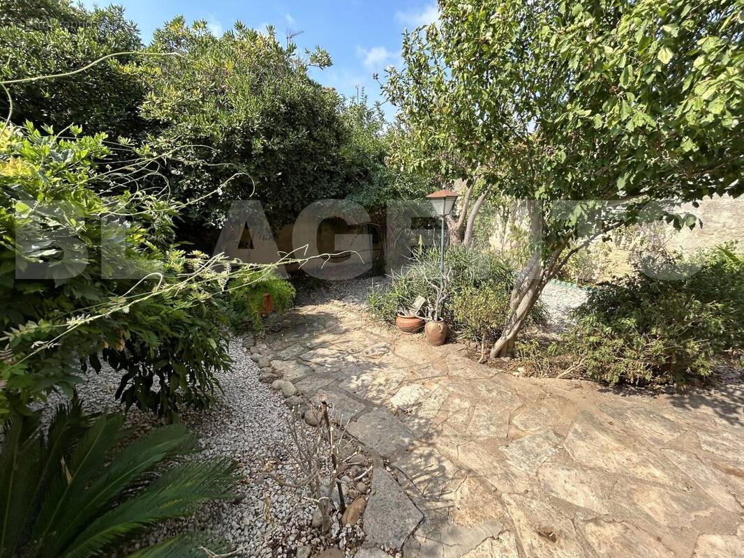 IMG_1019 - Maison à AGDE