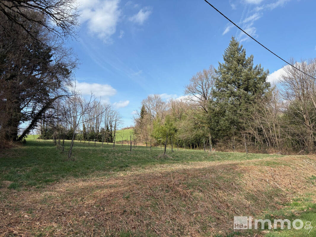 Terrain à MONTGIBAUD