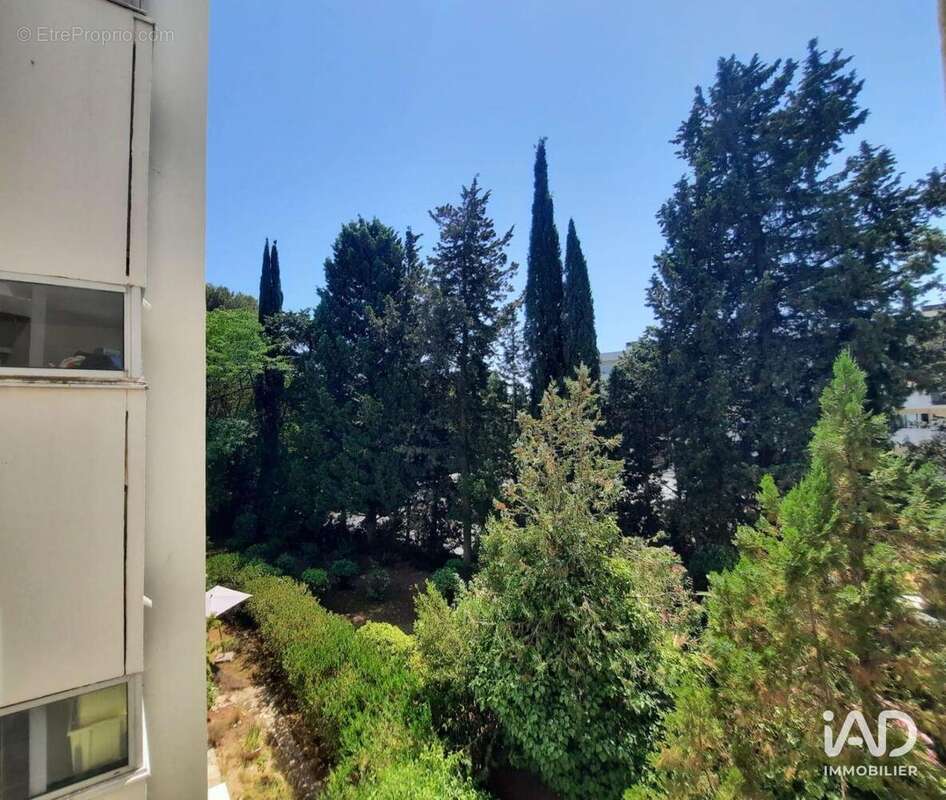Photo 3 - Appartement à MONTPELLIER
