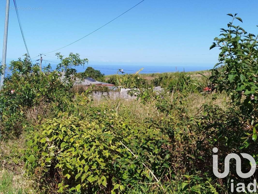 Photo 4 - Terrain à SAINT-JOSEPH