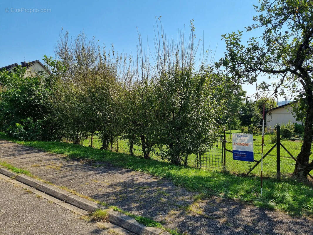 Terrain 704 m² à Sarrebourg  - photo 6