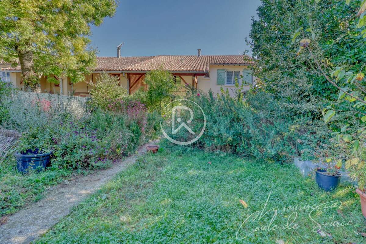 jardin occitanie - Maison à BEAUMONT-DE-LOMAGNE