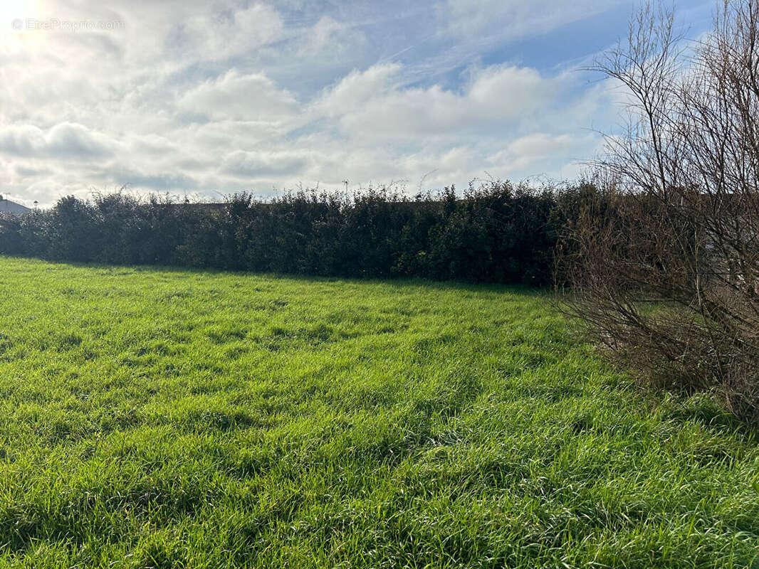 Terrain à SAINT-MICHEL-EN-L'HERM