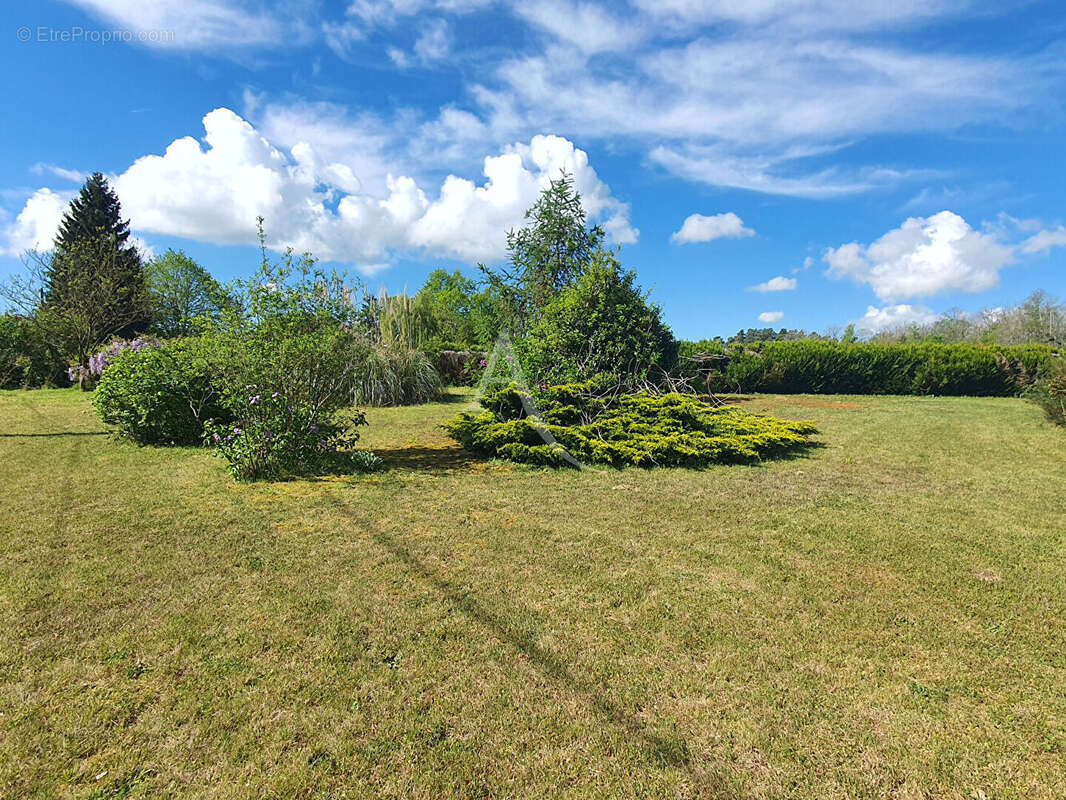 Maison à vendre à saint romain sur cher - photo 2