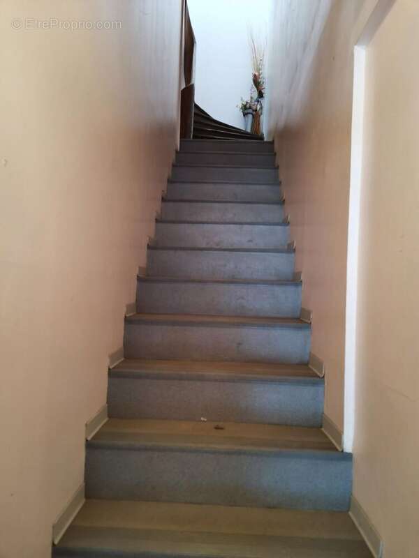 Photo 5 - Appartement à MIREPOIX