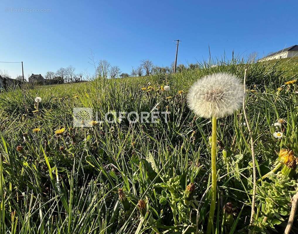 Proche bozouls / saint-julien de rodelle - photo 5