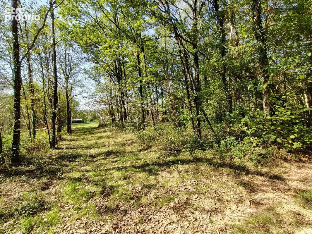 Photo Terrain à Piegut-Pluviers au prix de 44 000€