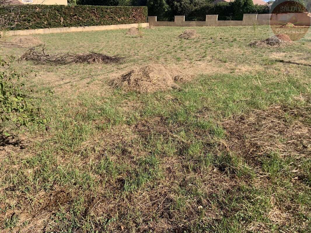 Beau terrain plat constructible de 1200 m² - photo 3
