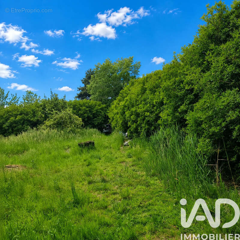 Photo 3 - Terrain à COULOGNE