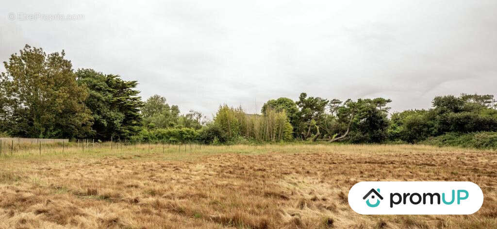 Terrain à LANDUNVEZ