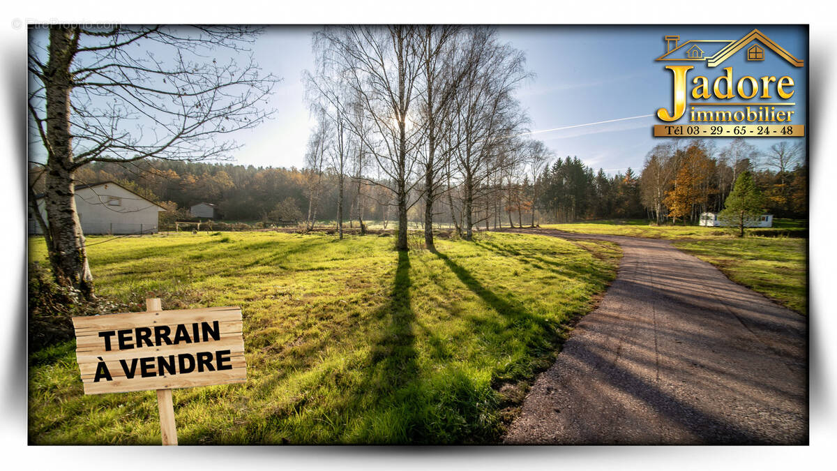 Terrain à SAULCY-SUR-MEURTHE