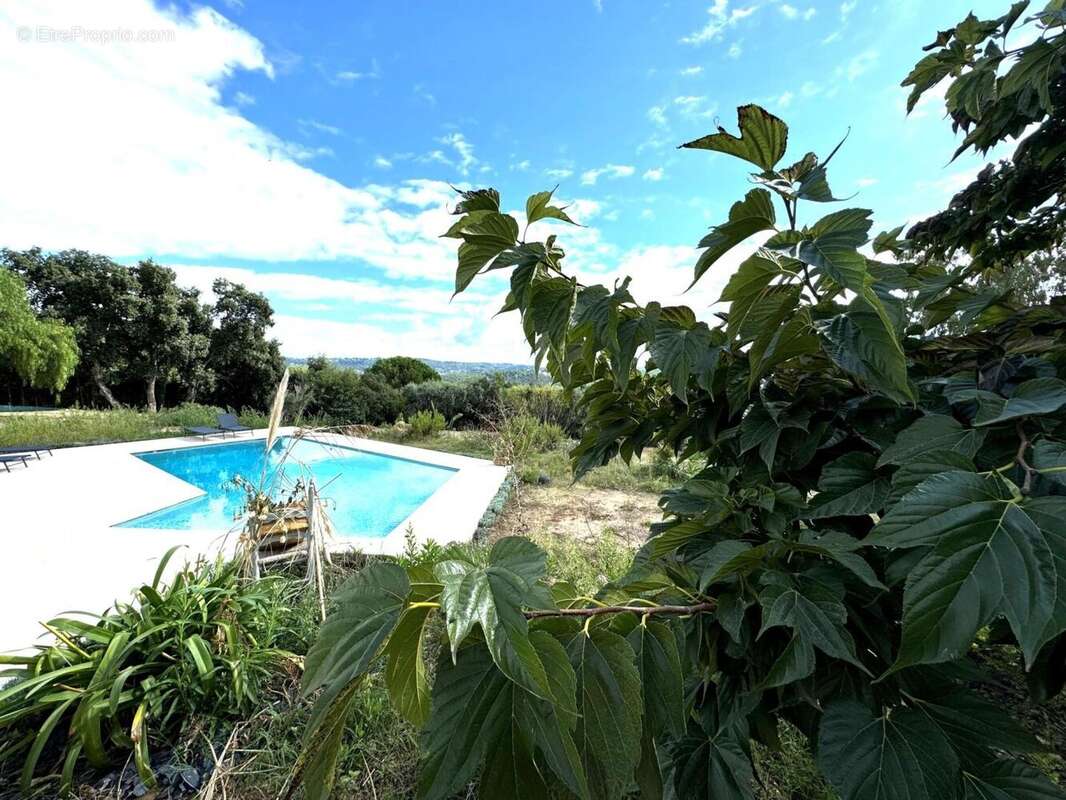 Maison 165m² à auribeau sur siagne - photo 6