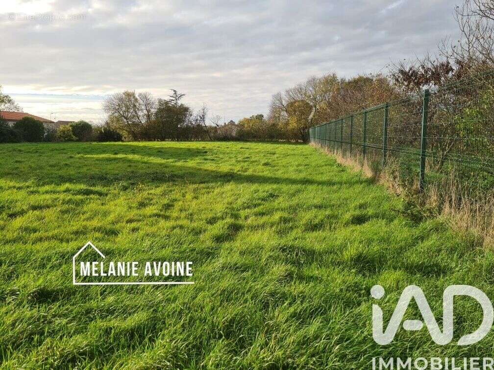 Photo 2 - Terrain à LE THOU