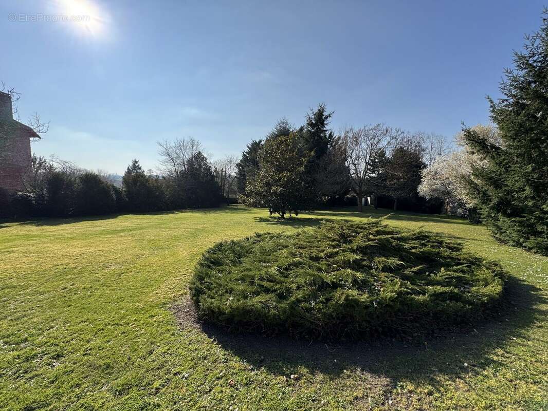 Terrain à BRIIS-SOUS-FORGES