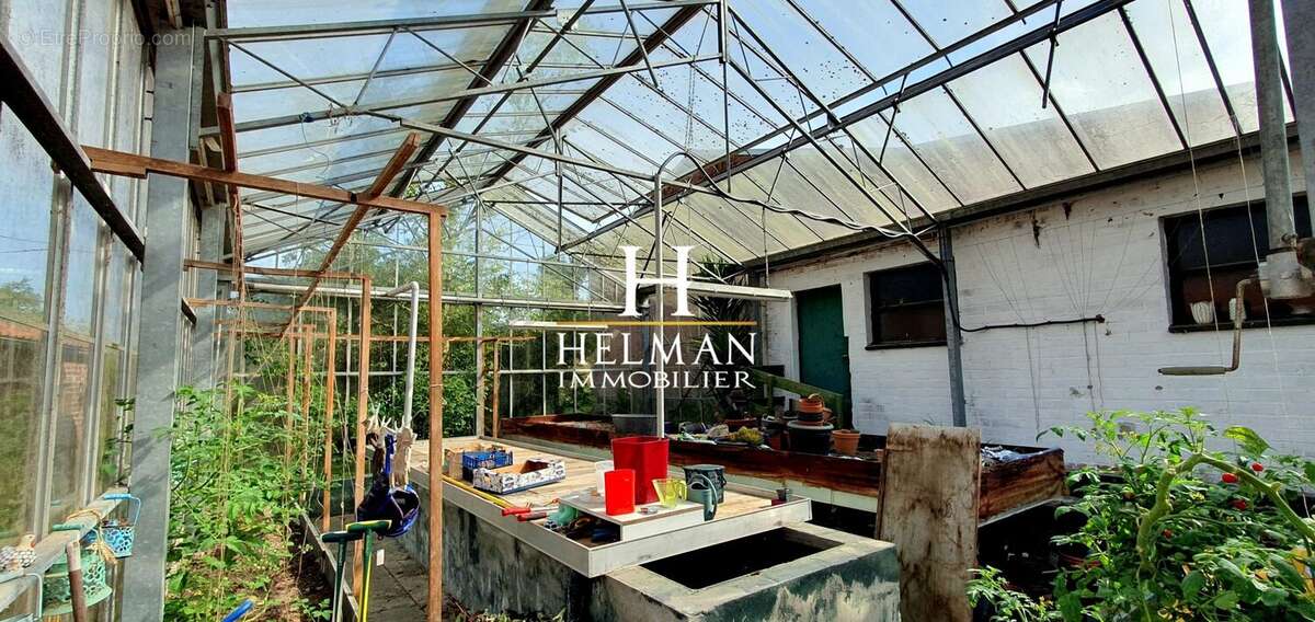 Maison à BUYSSCHEURE