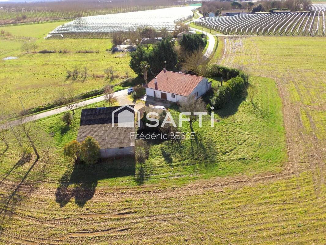 Photo 1 - Maison à MONTESQUIEU