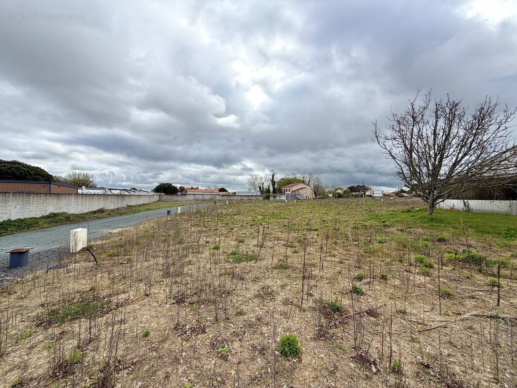 Terrain à SAINT-HILAIRE-DE-RIEZ