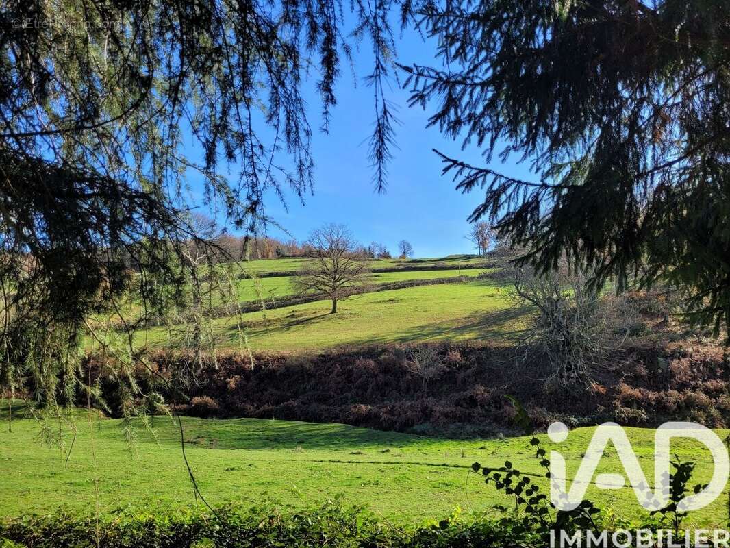 Photo 3 - Maison à LA TAGNIERE