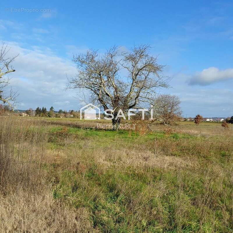 Photo 3 - Terrain à SAINT-MEDARD-DE-MUSSIDAN