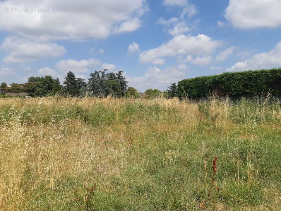 Terrain 500 m² à Gagnac-Sur-Garonne  - photo 3