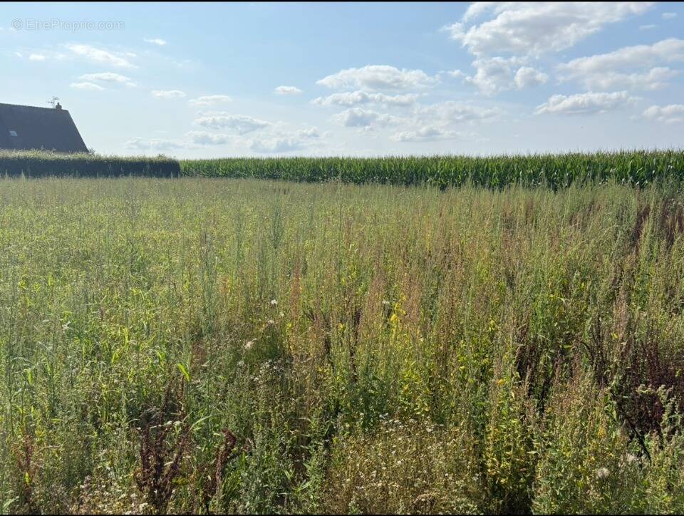 Terrain à ANCRETIEVILLE-SAINT-VICTOR