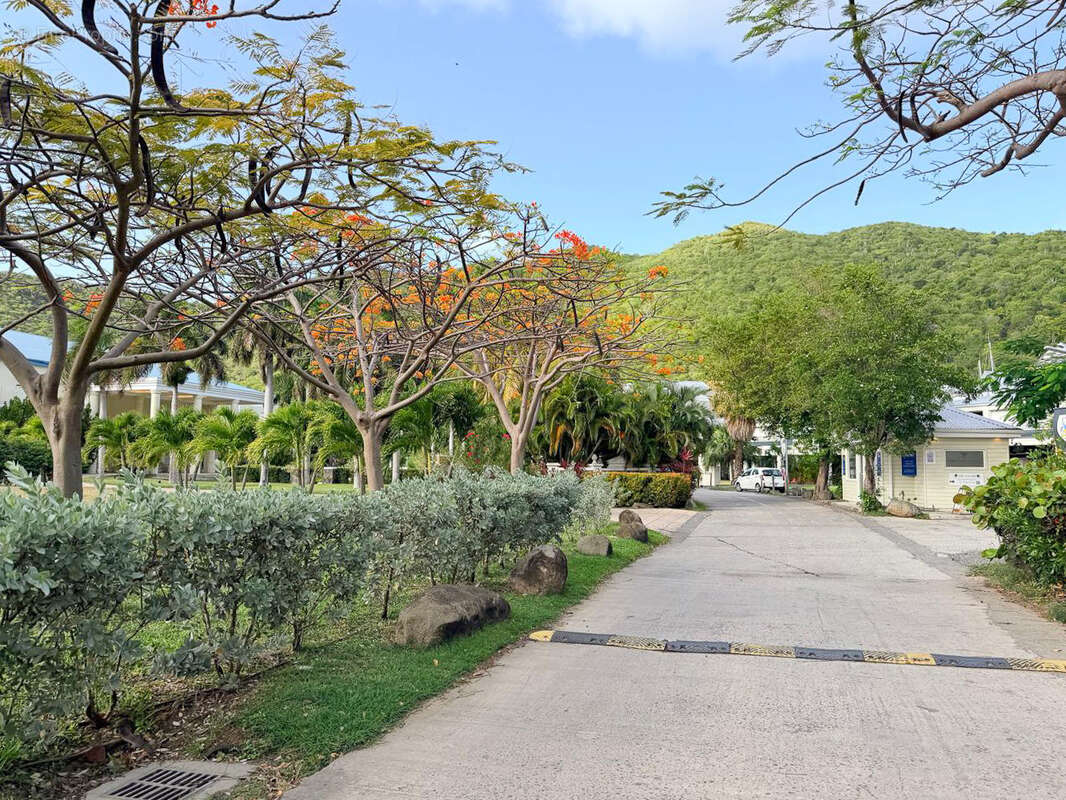 SAINT MARTIN (97) Anse Marcel, Duplex  avec terrasse à vendre - photo 10