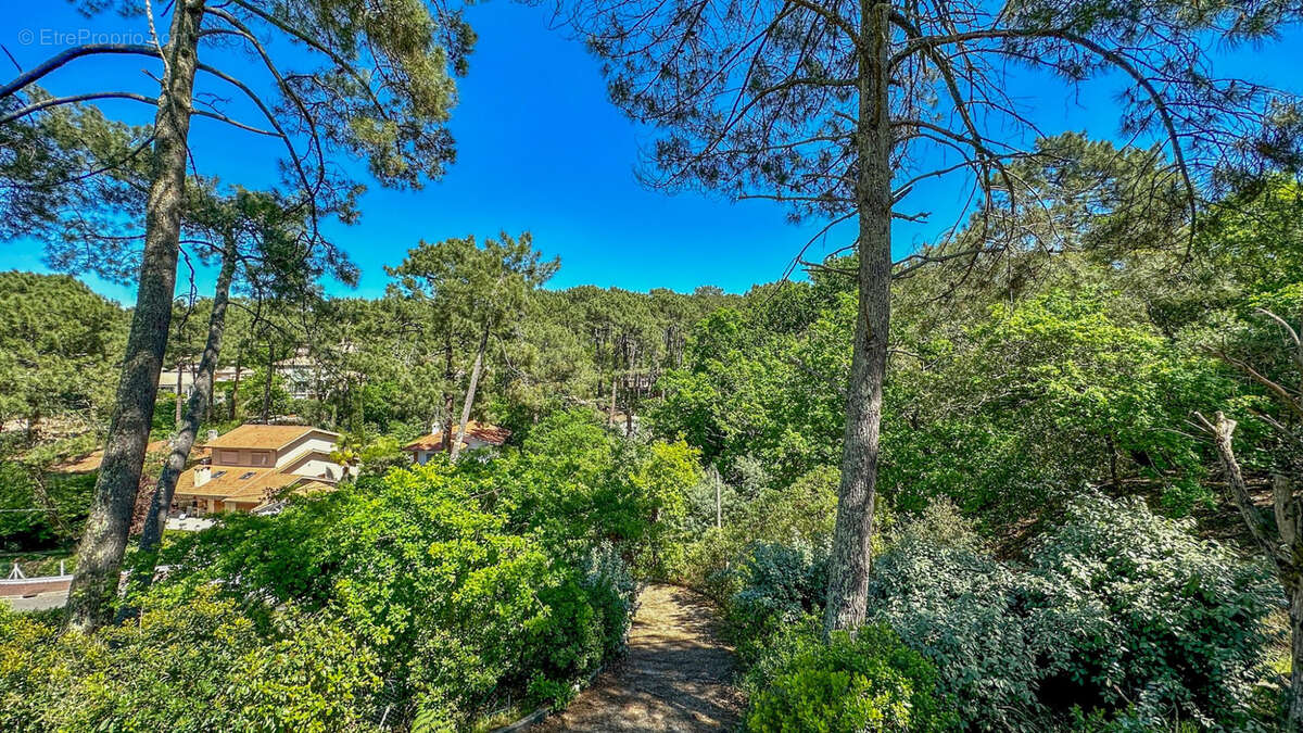 Terrain à ARCACHON