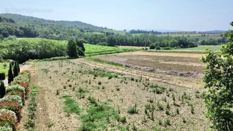 Terrain à SAINT-MARTIN-DE-VILLEREGLAN