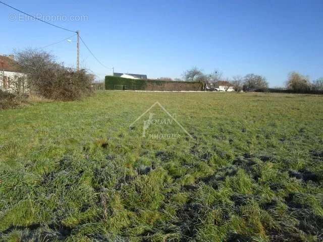 Terrain à VARENNES-SUR-ALLIER