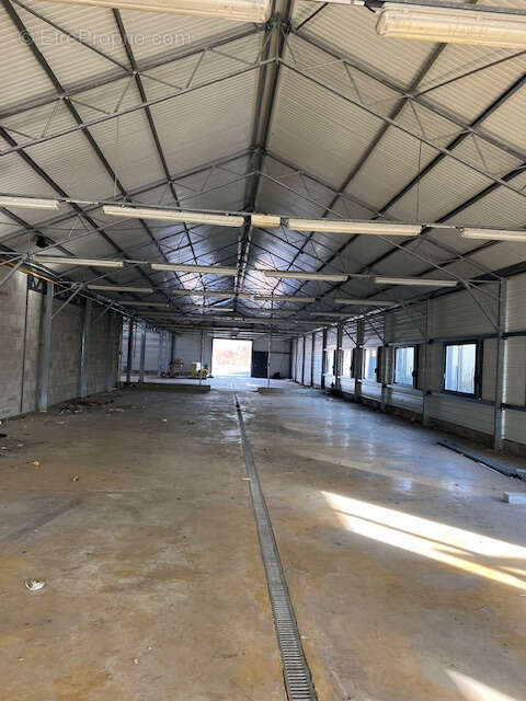 Commerce à SAINT-CLAIR-DU-RHONE