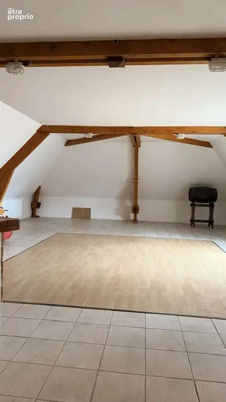 Achat St Lye proche Troyes maison 307m2  une dépendance 100 m2 jardin arboré 4135 m2 - photo 12