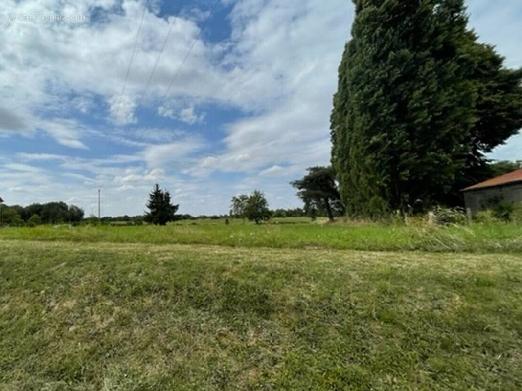 Terrain à LA FORESTIERE