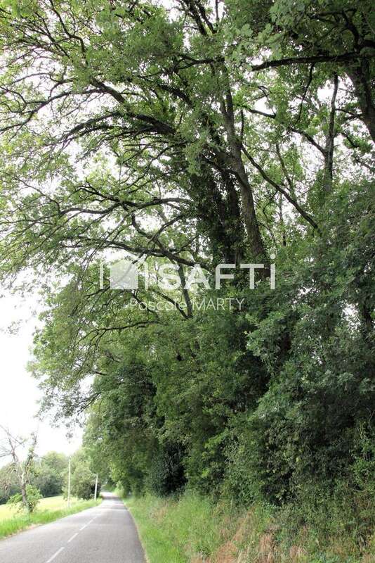 Photo 3 - Terrain à MONTJOIRE