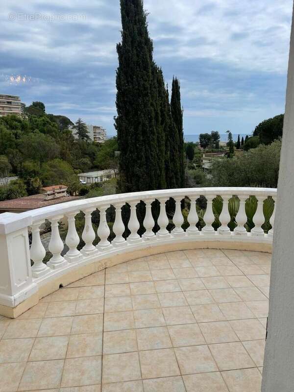 Photo 8 - Maison à VILLENEUVE-LOUBET