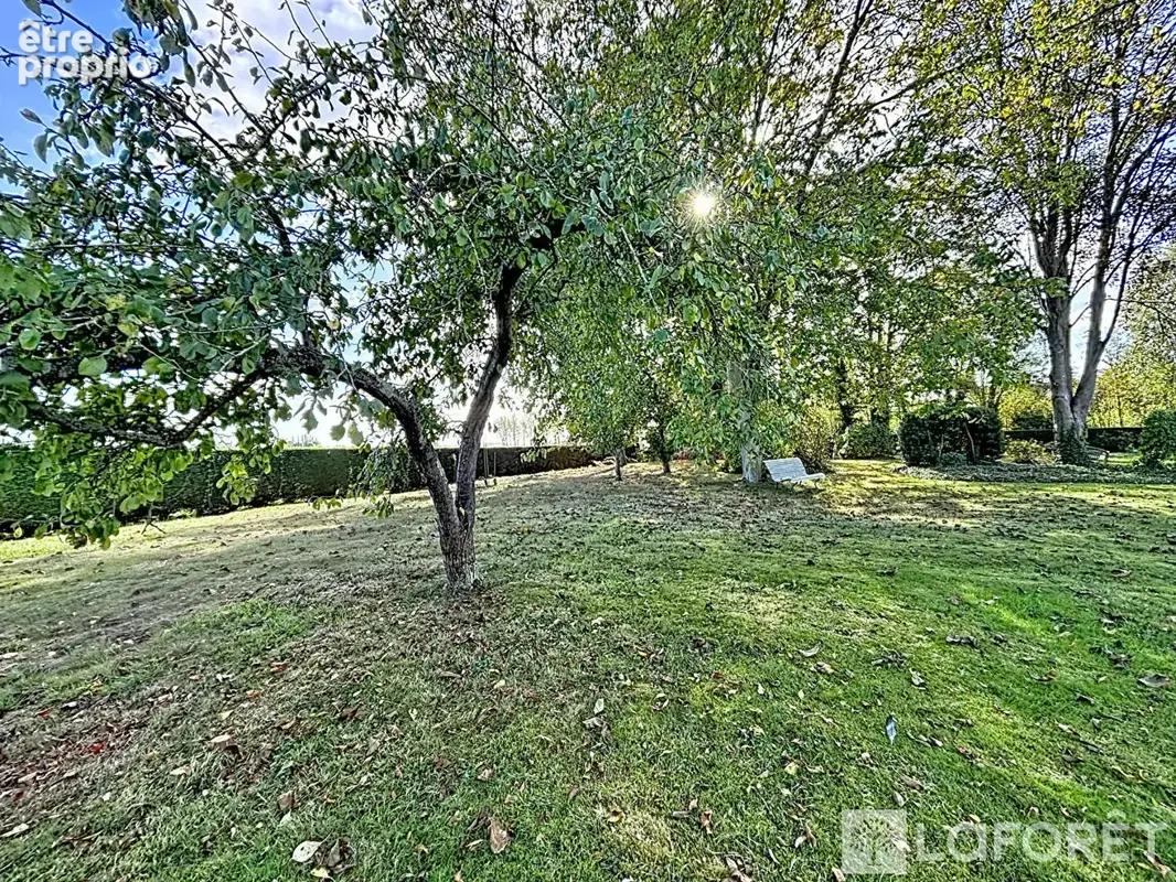 Maison 6 pièces 220 m² à vendre à Lestrem (62136) - photo 5