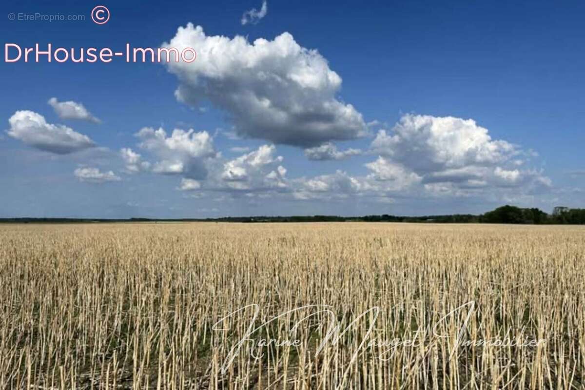 Terrain à LUMIGNY-NESLES-ORMEAUX