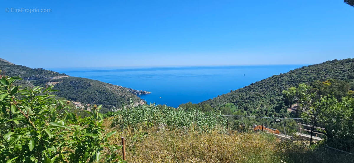 Terrain à EZE