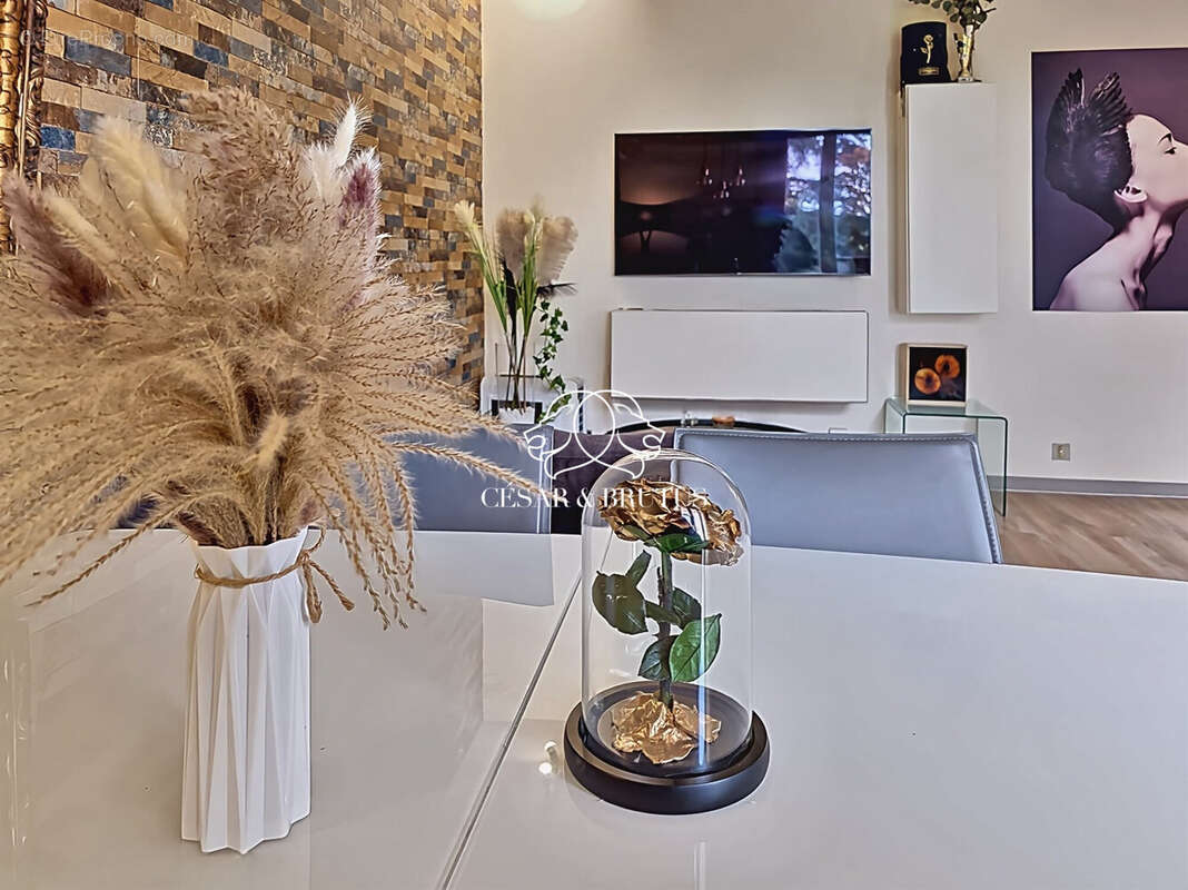 Appartement à TASSIN-LA-DEMI-LUNE