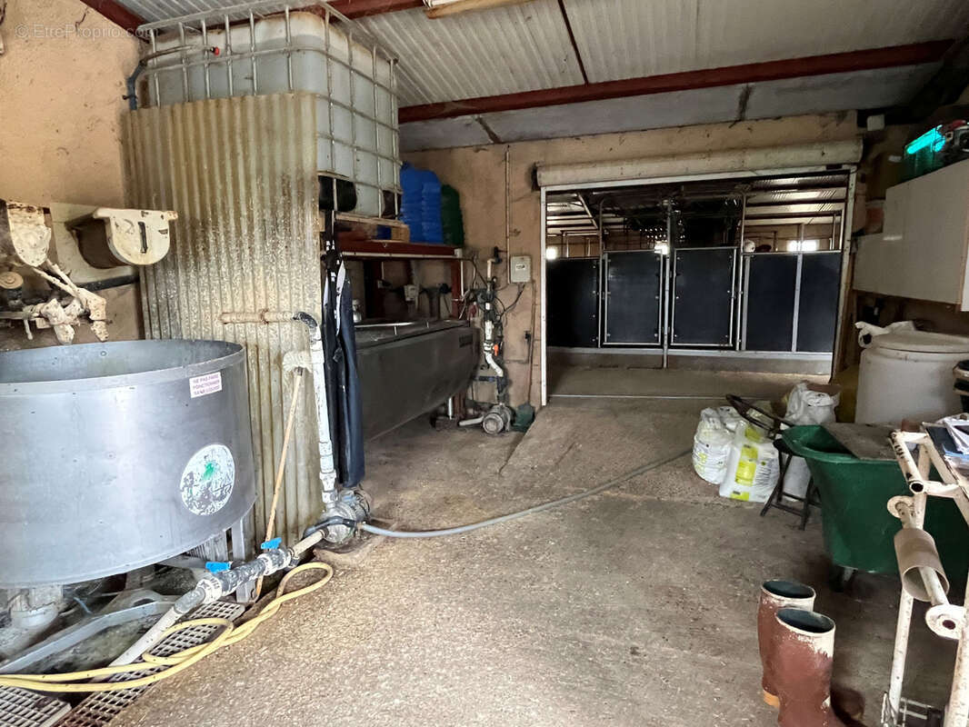 Réf 13025   Est de CUISERY, immeuble à usage agricole. - photo 6