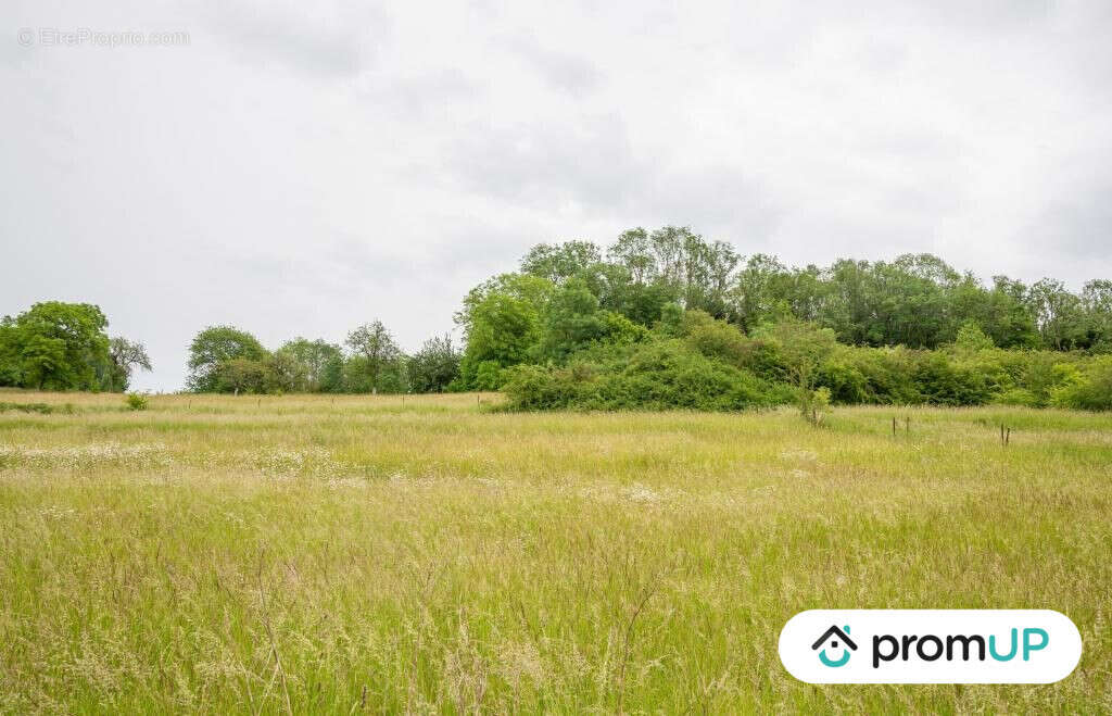 Terrain à PREZ