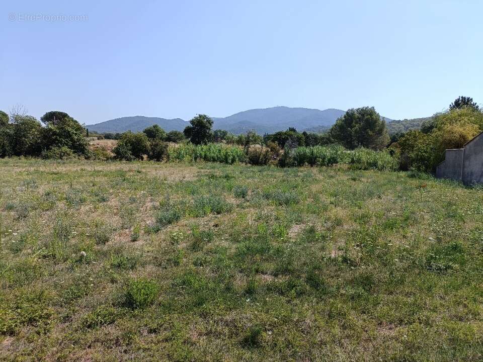 Terrain à PIGNANS