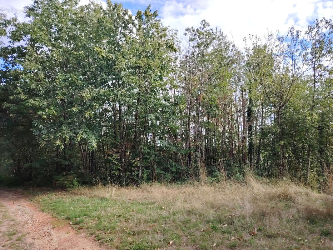 Maison 68 m² à Saint-Hilaire-Les-Places  - photo 12