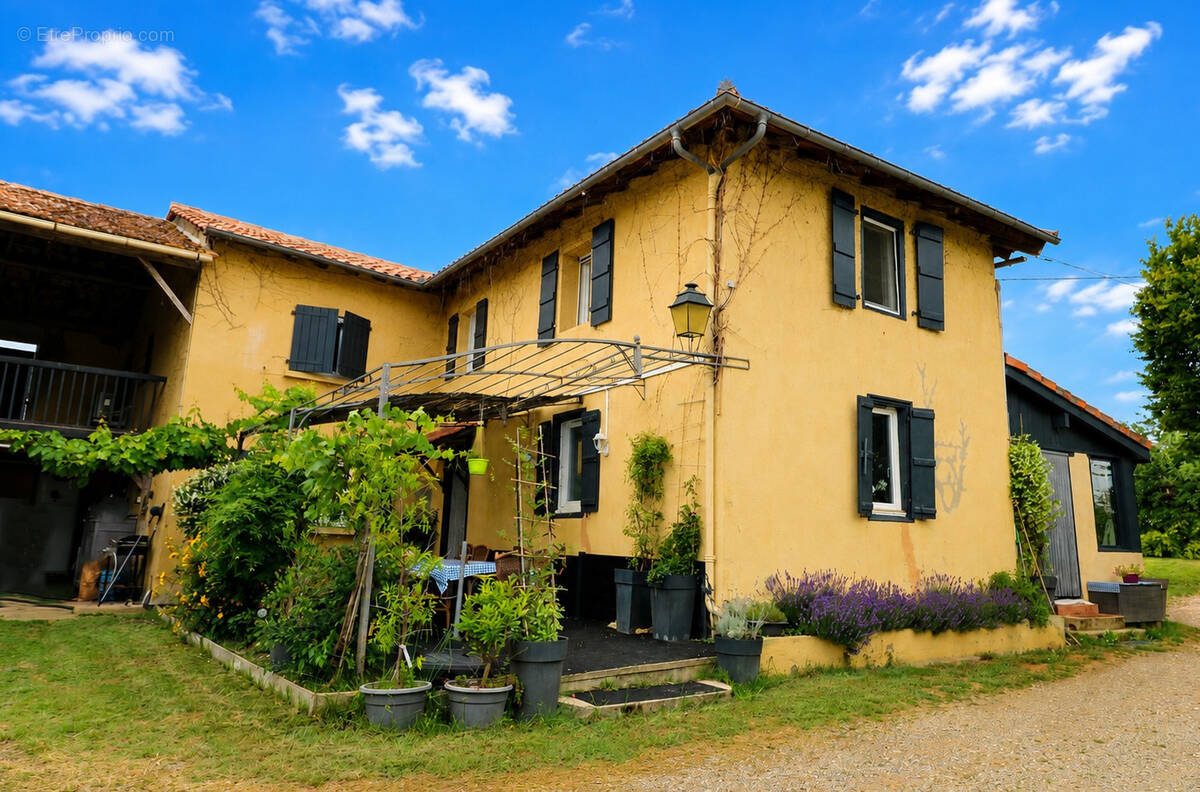 Maison à MASSEUBE