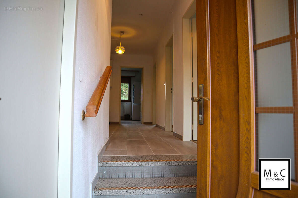 Maison à WISSEMBOURG