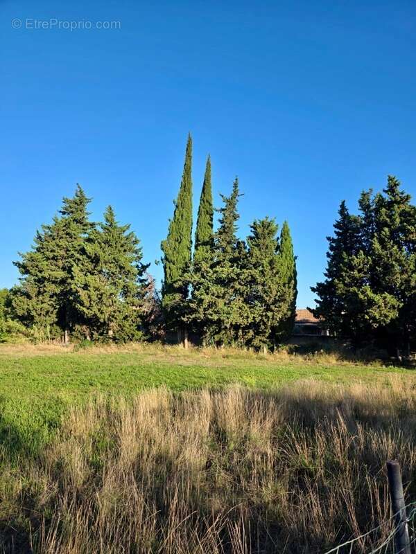 Terrain 325 m² à Istres  - photo 4