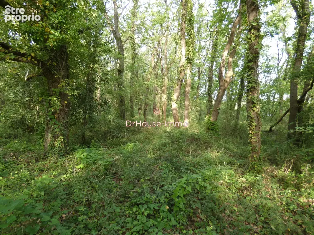 Terrain 1 591 m² à vendre à Bourcefranc-Le-Chapus (17560) - photo 18