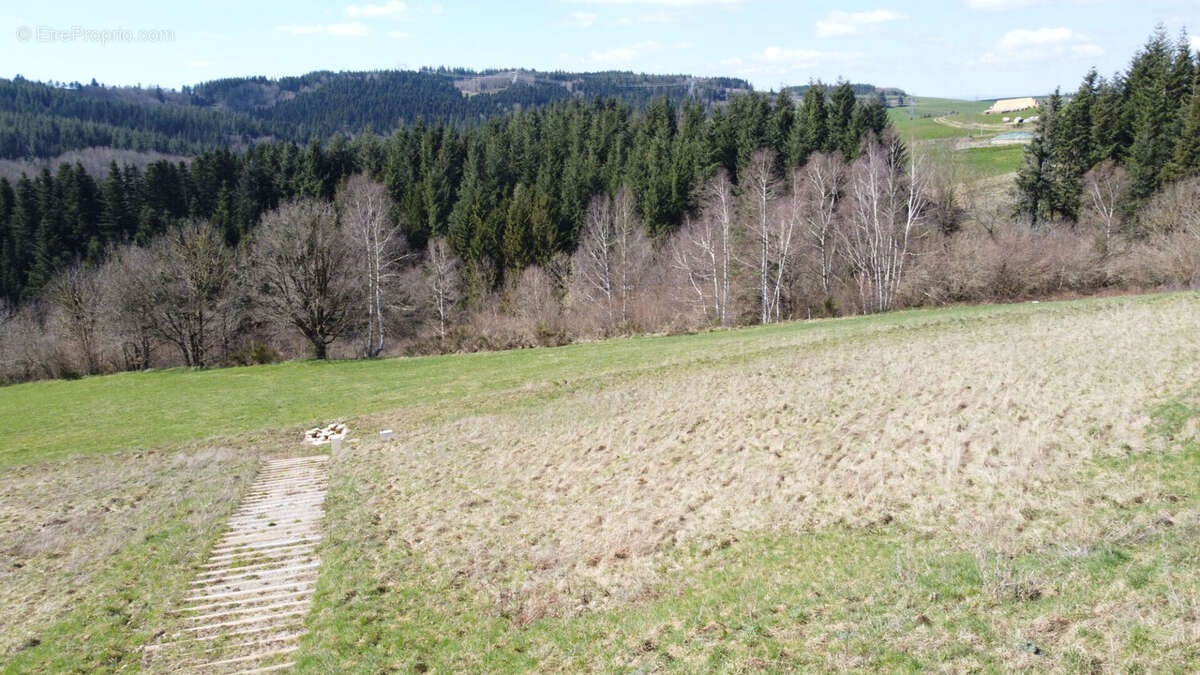 Terrain à SAINT-ROMAIN-LES-ATHEUX