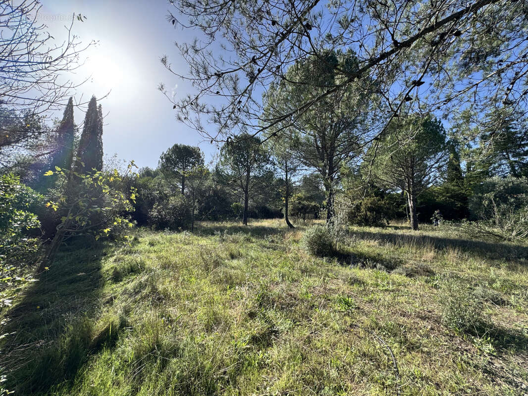 Terrain à MONTFERRIER-SUR-LEZ