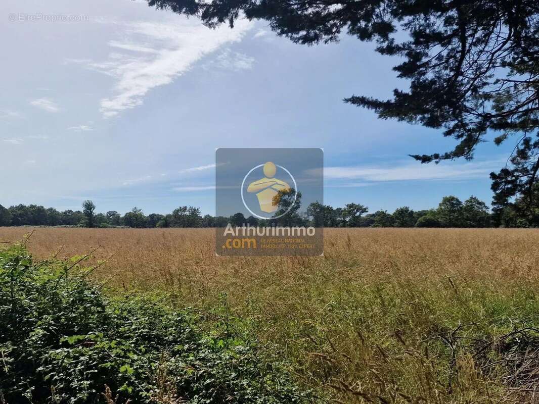 Maison à CHATEAUNEUF