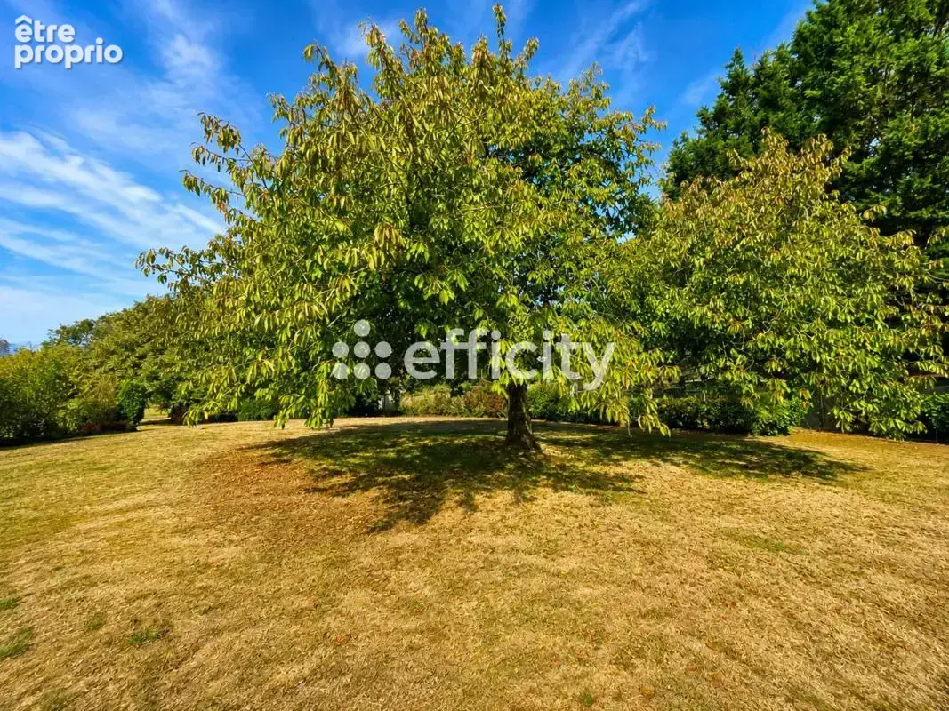 Maison 5 pièces 102 m² à vendre à Mortree (61570) - photo 21